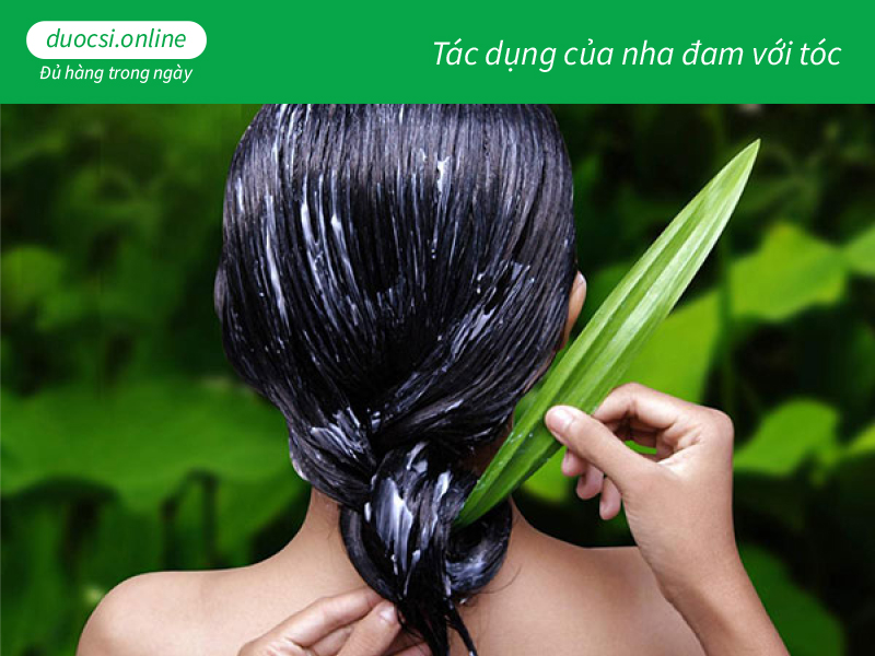 Tác dụng của nha đam với tóc