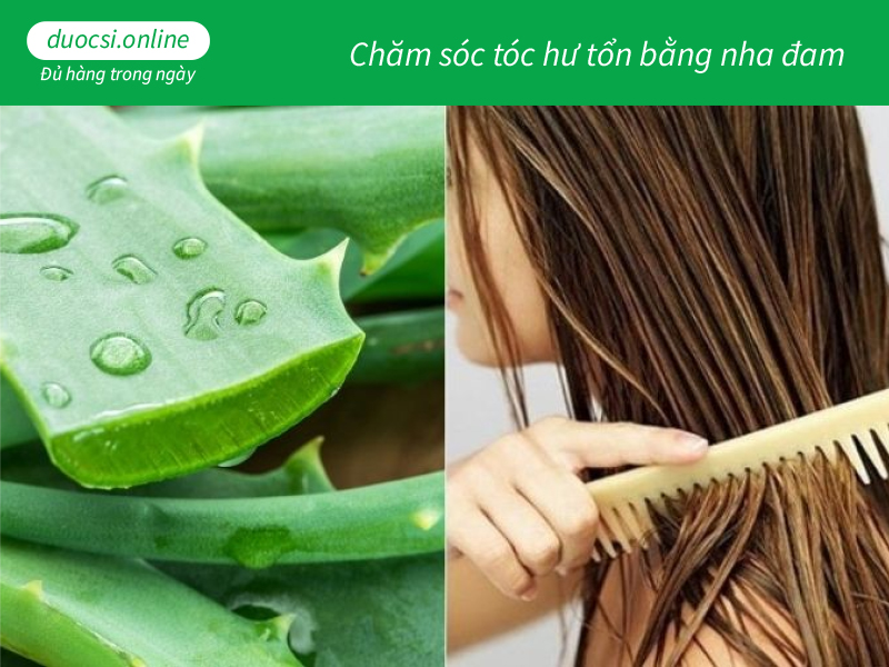 Chăm sóc tóc hư tổn bằng nha đam