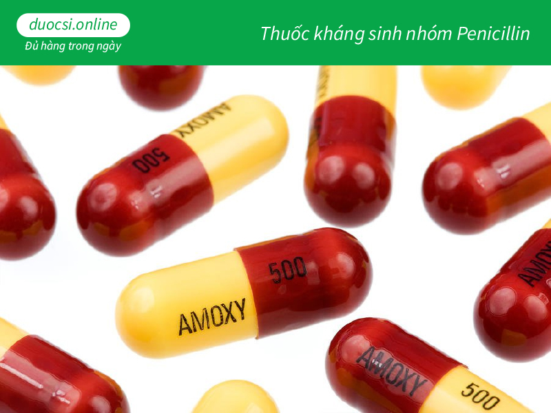 Thuốc kháng sinh nhóm Penicillin