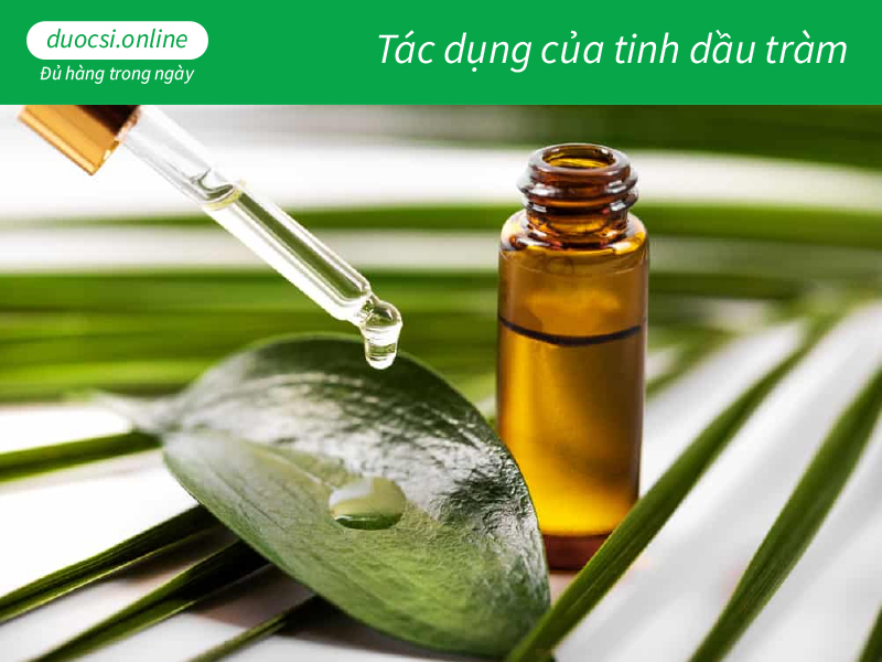 Tác dụng của tinh dầu tràm