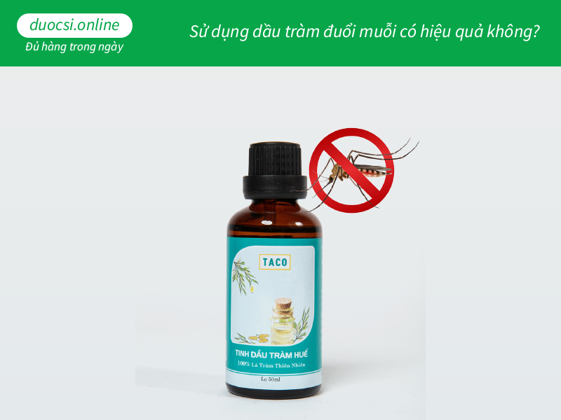 Sử dụng dầu tràm đuổi muỗi có hiệu quả không?