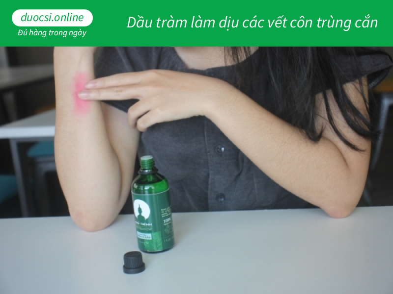 Dầu tràm làm dịu các vết côn trùng cắn