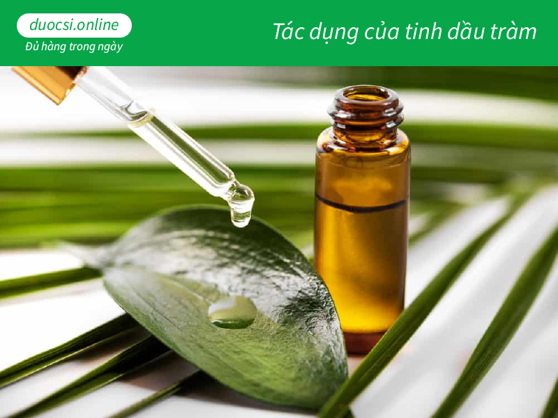 Tác dụng của tinh dầu tràm